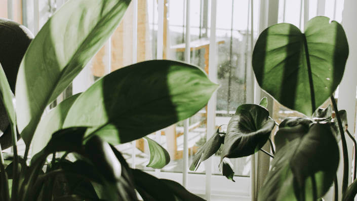 Do you have to give up the luxury to stay sustainable? 