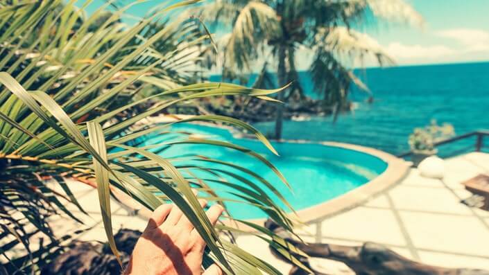 Palm tree pool