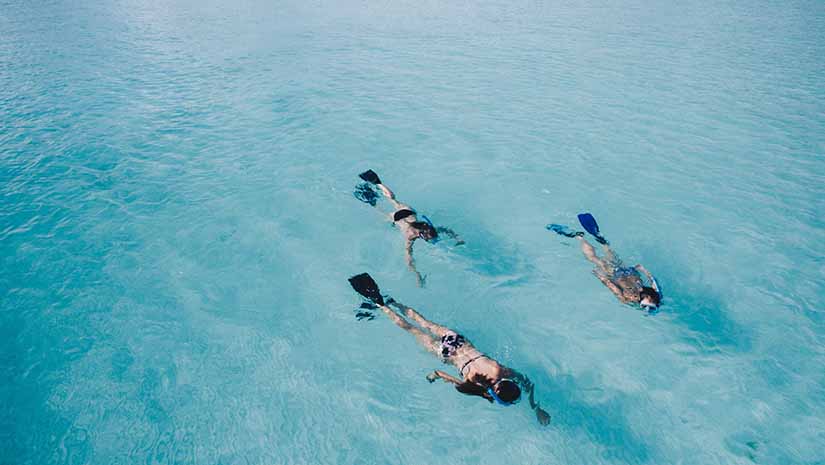 Snorkeling Montenegro – the best spots to go with your yacht