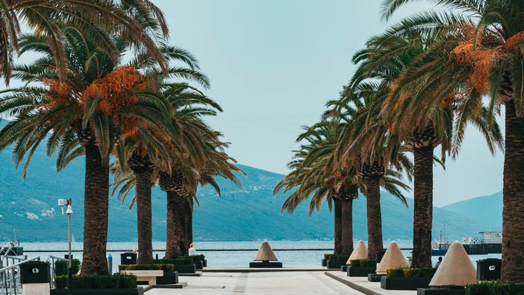 Žanjice Beach Montenegro - a hidden gem on the Adriatic