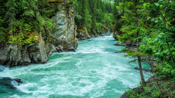 Montenegro River Beauties – Gorgeous Nature of the Country