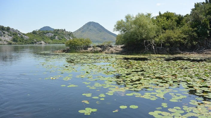 Skadar Lake National Park – Discover the Largest Lake in the Balkans