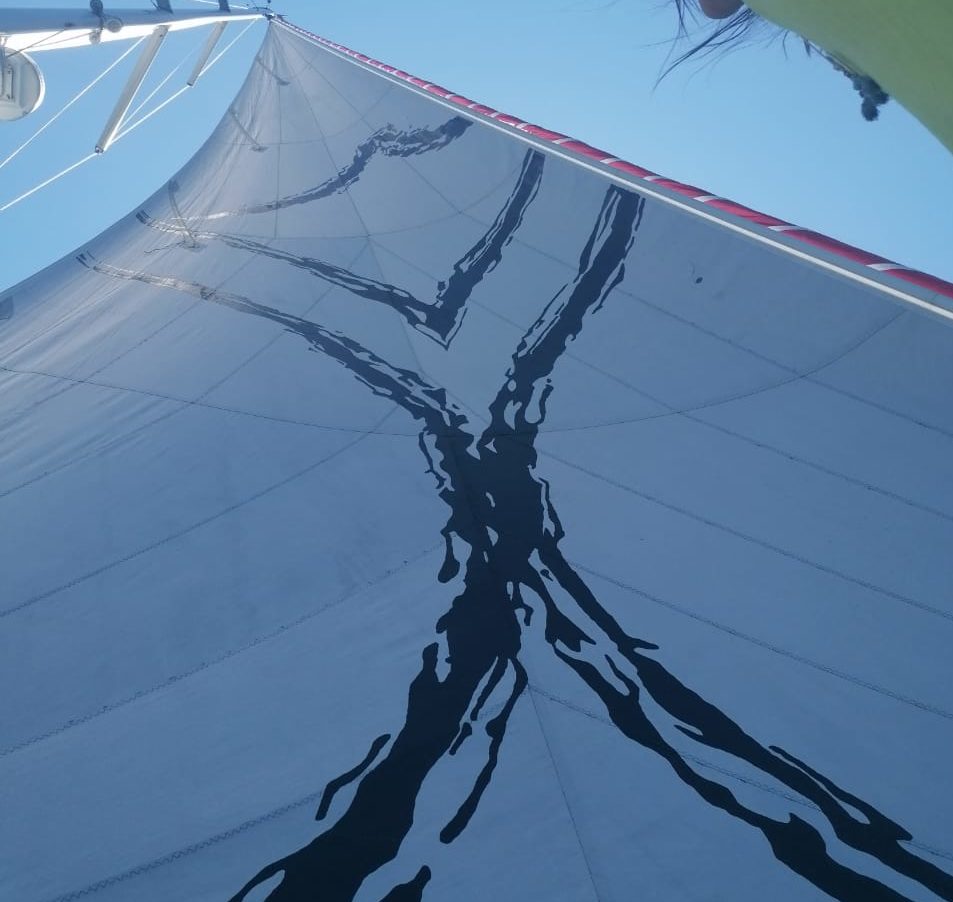 A success for Boka – Niche hand painting of sails
