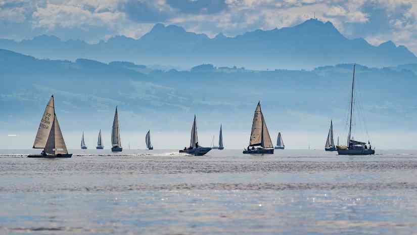 A fleet of sailboats racing on a sea during a sunny day at a sailing festival.