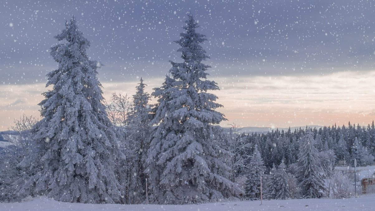 Things to Do in Montenegro in Winter – From Snowy Peaks to a Gentle Coast