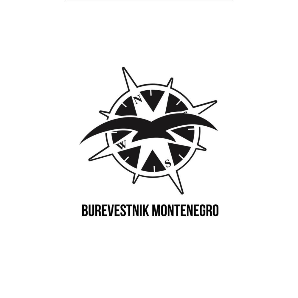 Burevestnik