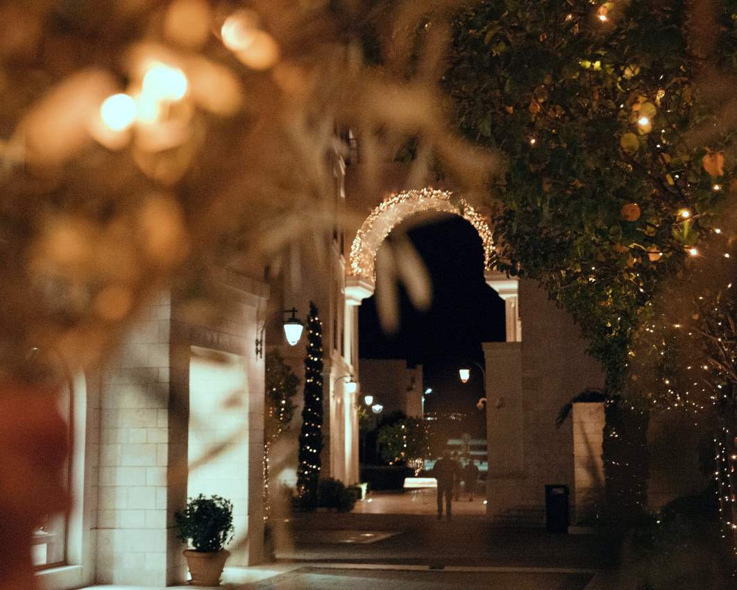 Festive Season