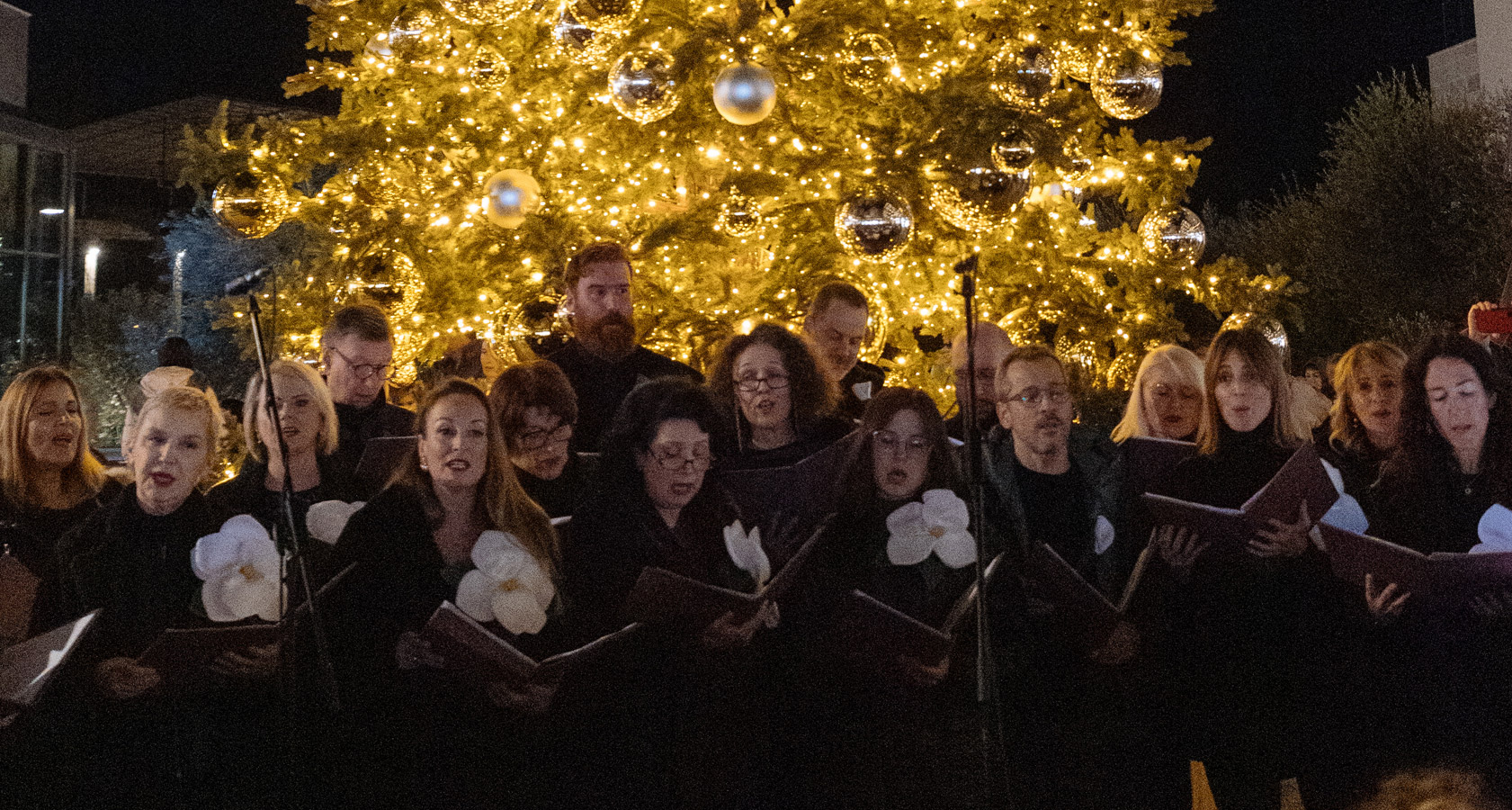 Festive Lighting Ceremony