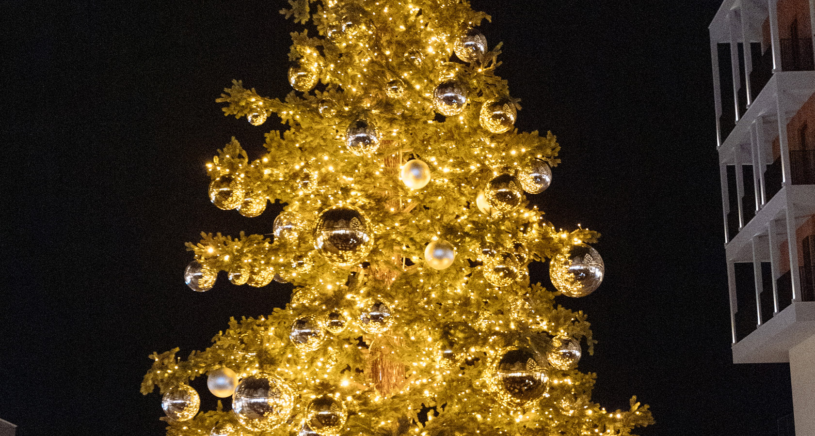 Festive Season