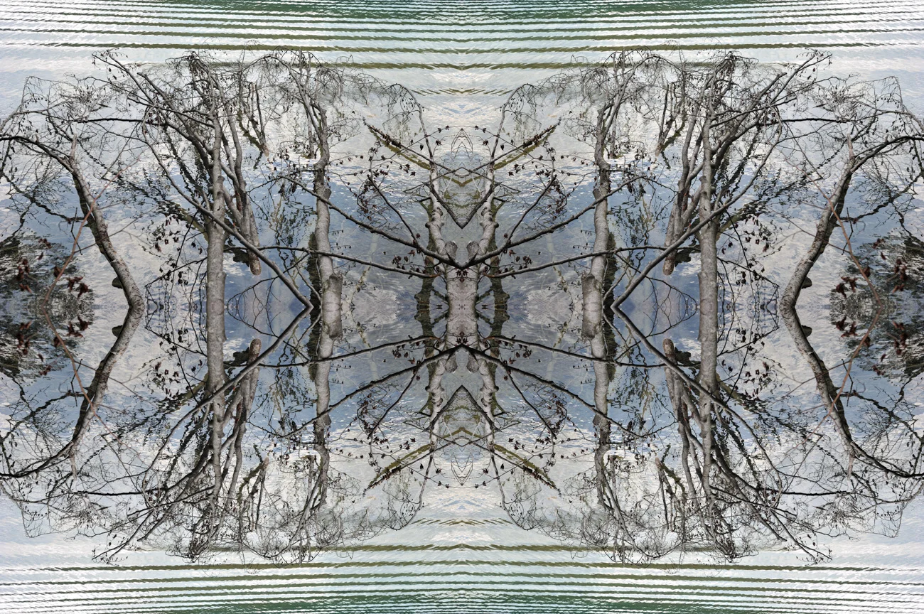Art Exhibition by Dalibor Ševaljević
